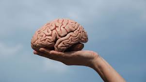 Зашто наш мозак обожава сан: шта каже наука?